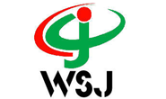 Shenzhen wangshengjie Electronic Technology Co., Ltd.